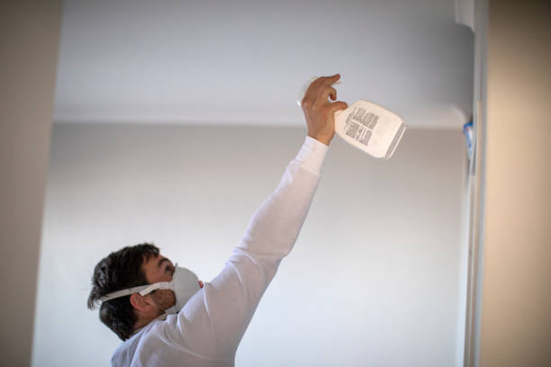 Best Water Damage Restoration  in Bassett, VA