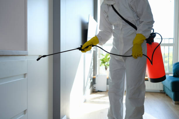 Best Mold Testing  in Bassett, VA